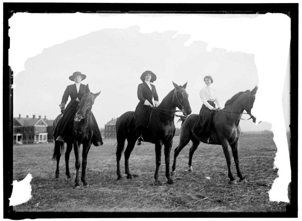 WOMAN SUFFRAGE. MARSHALLS, PARADE LCCN2016864267