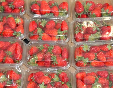 Strawberry grocery super market photo