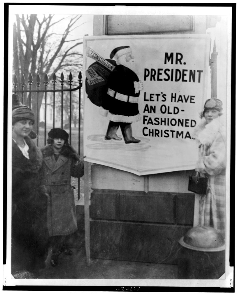 Women demonstrators requesting political amnesty outside the White House LCCN2001701764
