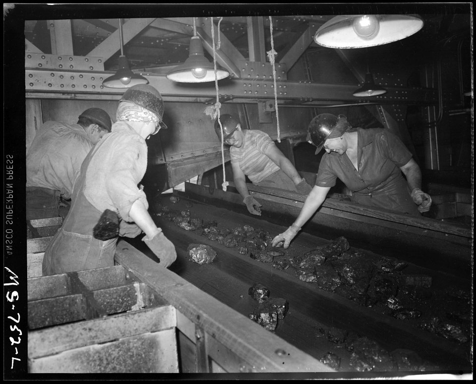 Women Pick Foreign Matter Out of Coal as It Is Carried on Conveyor Through Tipple (3904009282)