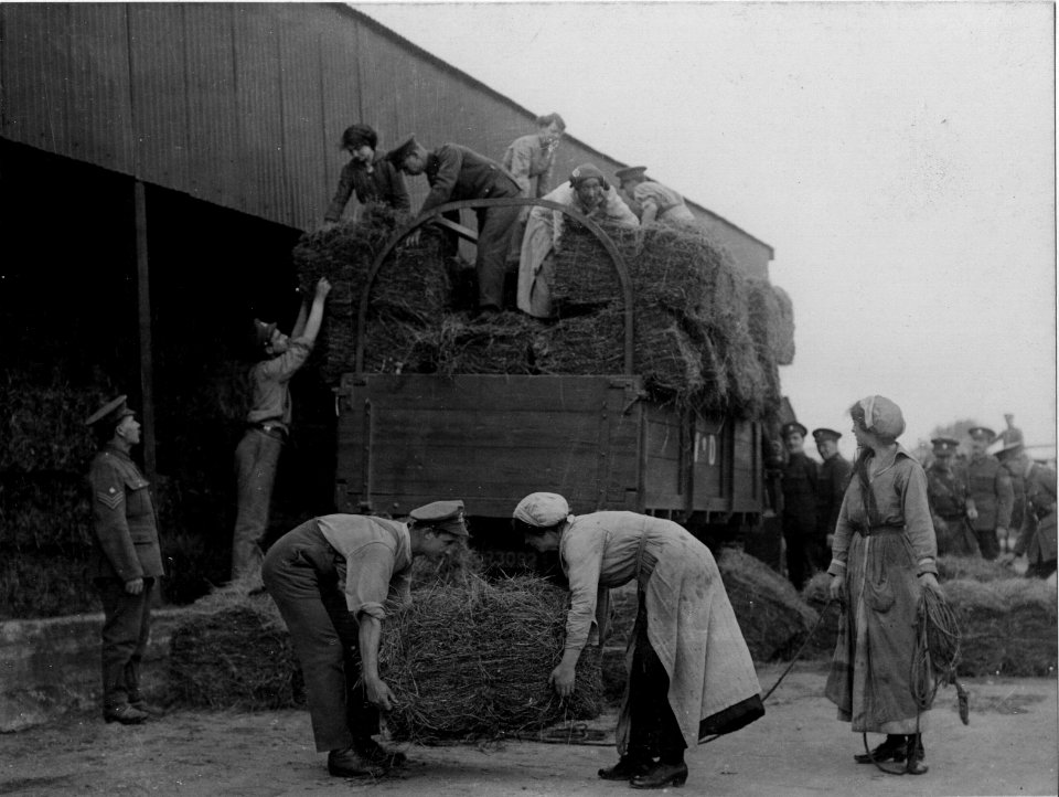 Women unloading a motor truck 165-BO-0598