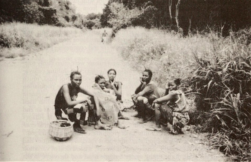 Women on their way to the market, Equateur Region