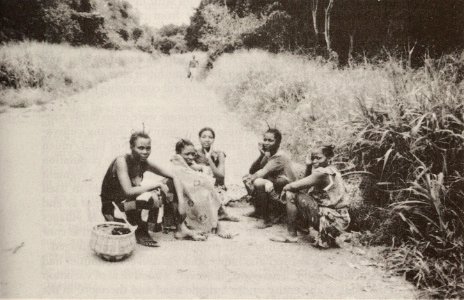 Women on their way to the market, Equateur Region