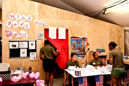 Women Marines Association hosts deployed health fair 110716-N-TH989-029