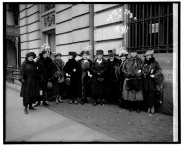 Women's Committee, Inaugural Committee LCCN2016823563