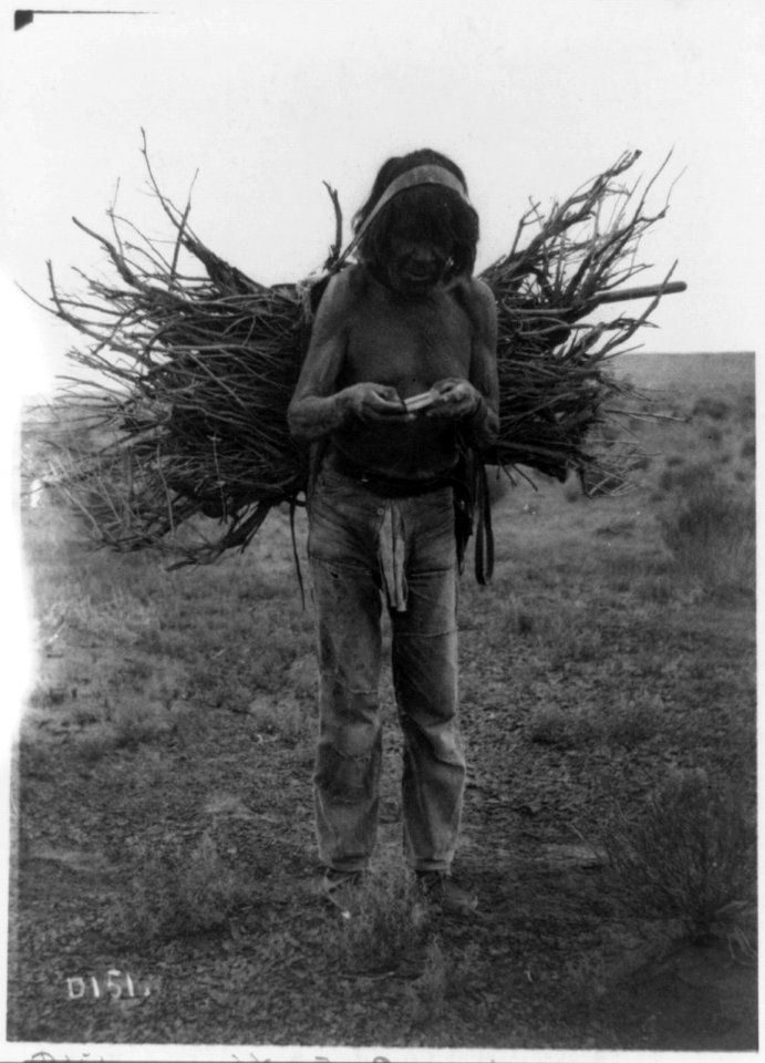 Wood carrier LCCN2002717661