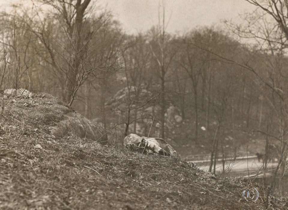 Women's Reserve Camouflage Corps hiding