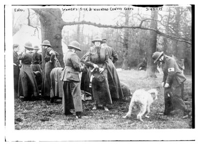 Women's Sick and Wounded Convoy Corps -- Eng. LCCN2014697088