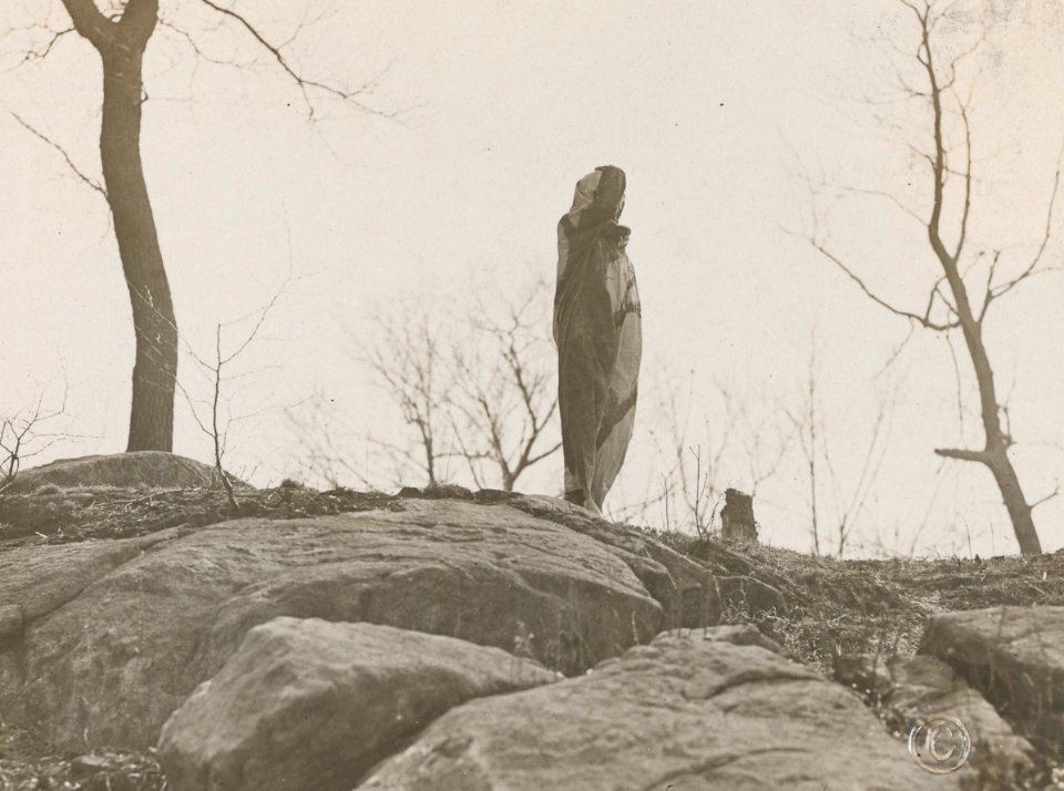 Women's Reserve Camouflage Corps hiding in full view