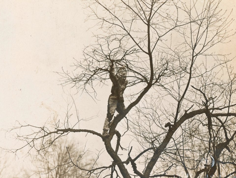 Women's Reserve Camouflage Corps tree hiding