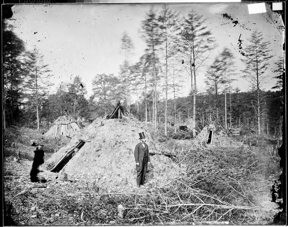 Wood choppers' huts, Pine Woods, Va - NARA - 528927
