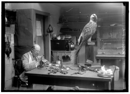 WOOD, N.R. OF SMITHSONIAN INSTITUTION. MOUNTING BIRDS LCCN2016867512