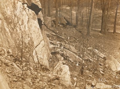 Women's Reserve Camouflage Corps member hidden