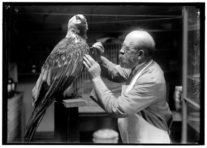 WOOD, N.R. OF SMITHSONIAN INSTITUTION. MOUNTING BIRDS LCCN2016867513