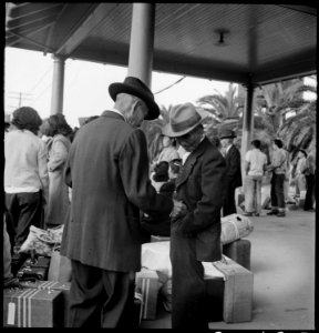 Woodland, California. Evacuees of Japanese ancestry waiting at the railroad station for the special . . . - NARA - 537807