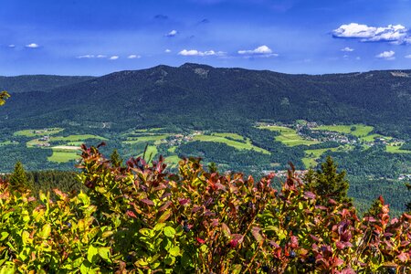 Landscape germany forest photo