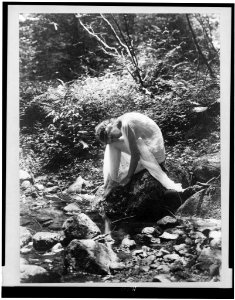 Wood-nymph LCCN96503522