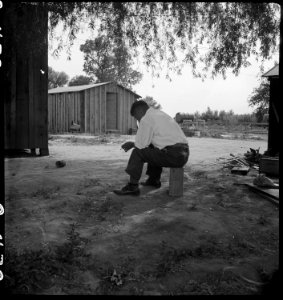 Woodland, California. Tenant farmer of Japanese ancestry who has just completed settlement of their . . . - NARA - 537759 photo