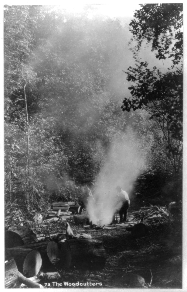 Woodcutters working in a forest clearing, Ireland LCCN2017656334