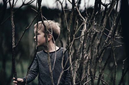 People tree branches photo