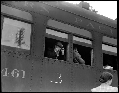 Woodland, Yolo County, California. Ten cars of evacuees of Japanese ancestry are now aboard and the . . . - NARA - 537828 photo