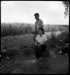 Woodland, California. These farm children of Japanese ancestry are all prepared to go to an Assembl . . . - NARA - 537760 photo