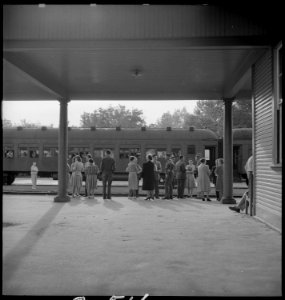 Woodland, California. This staff of Wartime Civil Control Administration workers have completed the . . . - NARA - 537830 photo