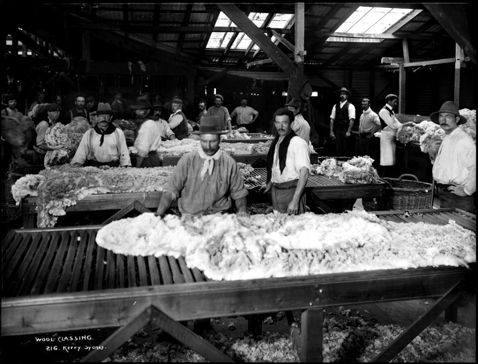 Wool classing from The Powerhouse Museum Collection