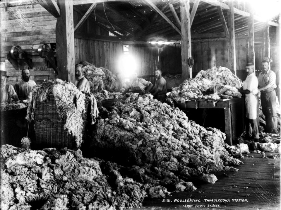 Wool sorting, Thurulcoona Station from The Powerhouse Museum Collection