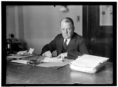 WOOLLEY, ROBERT W. COMMISSIONER, I.C.C.; DIRECTOR OF MINT; DIRECTOR OF PUBLICITY, 1ST LIBERTY LOAN LCCN2016868446