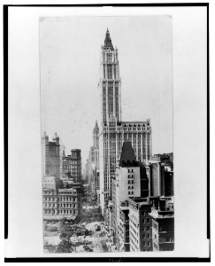 Woolworth Building & B'way south LCCN96502135