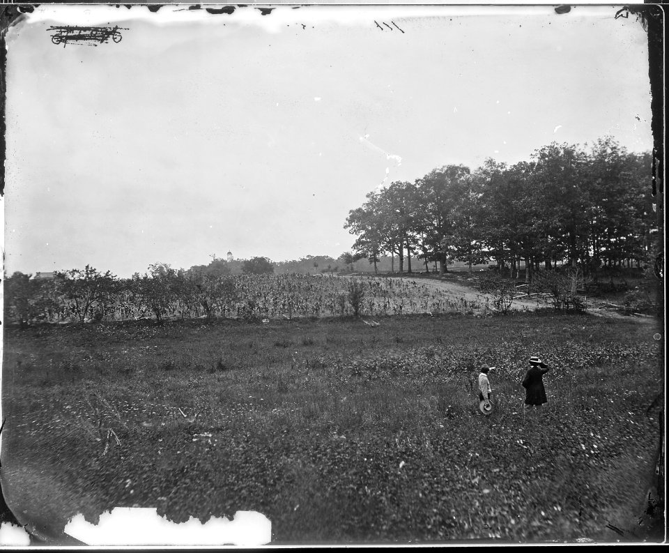 Woods in which Gen. J.F. Reynolds was killed. Gettysburg, Pa., 1863. - NARA - 524530