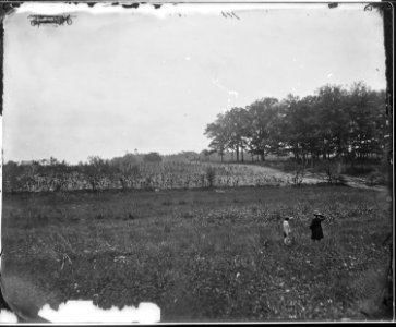 Woods in which Gen. J.F. Reynolds was killed. Gettysburg, Pa., 1863. - NARA - 524530