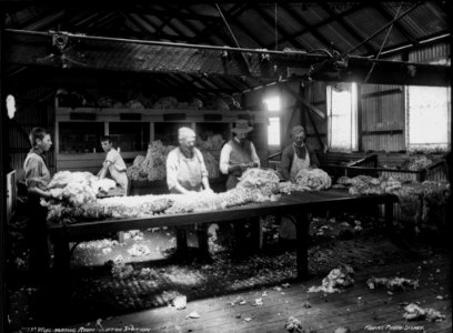 Wool-sorting room, Clifton Station from The Powerhouse Museum Collection