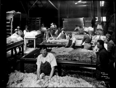 Wool sorting from The Powerhouse Museum Collection photo