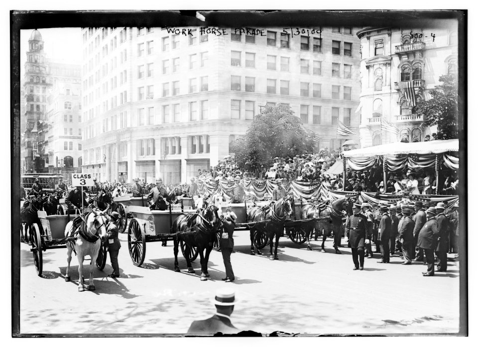 Work Horse Parade, 5-30-09 LCCN2014696727