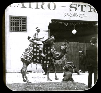 World's Columbian Exposition lantern slides, Midway Plaisance, Oriental Parade (with camel) (NBY 8814)