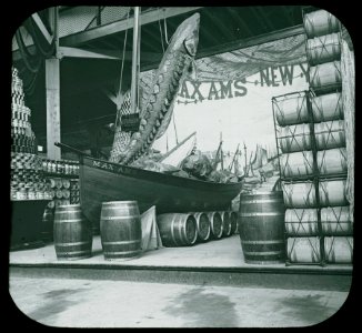 World's Columbian Exposition lantern slides, Fisheries Building, Boatload of Sturgeon (NBY 8847)