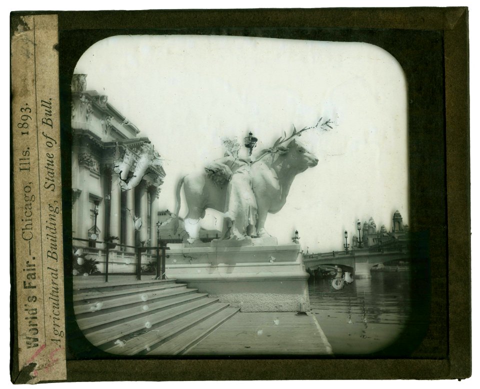 World's Columbian Exposition lantern slides, Agricultural Building, Statue of Bull (NBY 8816)