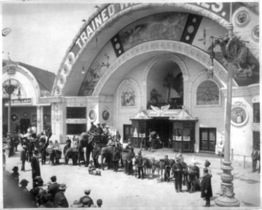 World's Columbian Exposition, Chicago, Ill.- trained animals lined up, with trainers, clowns and others LCCN2006680022