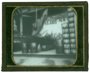 World's Columbian Exposition lantern slides, Fisheries Building, Boatload of Sturgeon (NBY 8846)