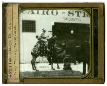 World's Columbian Exposition lantern slides, Midway Plaisance, Oriental Parade (with camel) (NBY 8813) photo