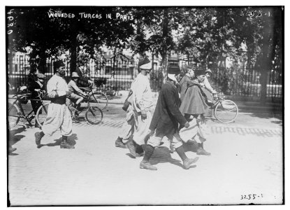 Wounded Turcos in Paris LCCN2014697720