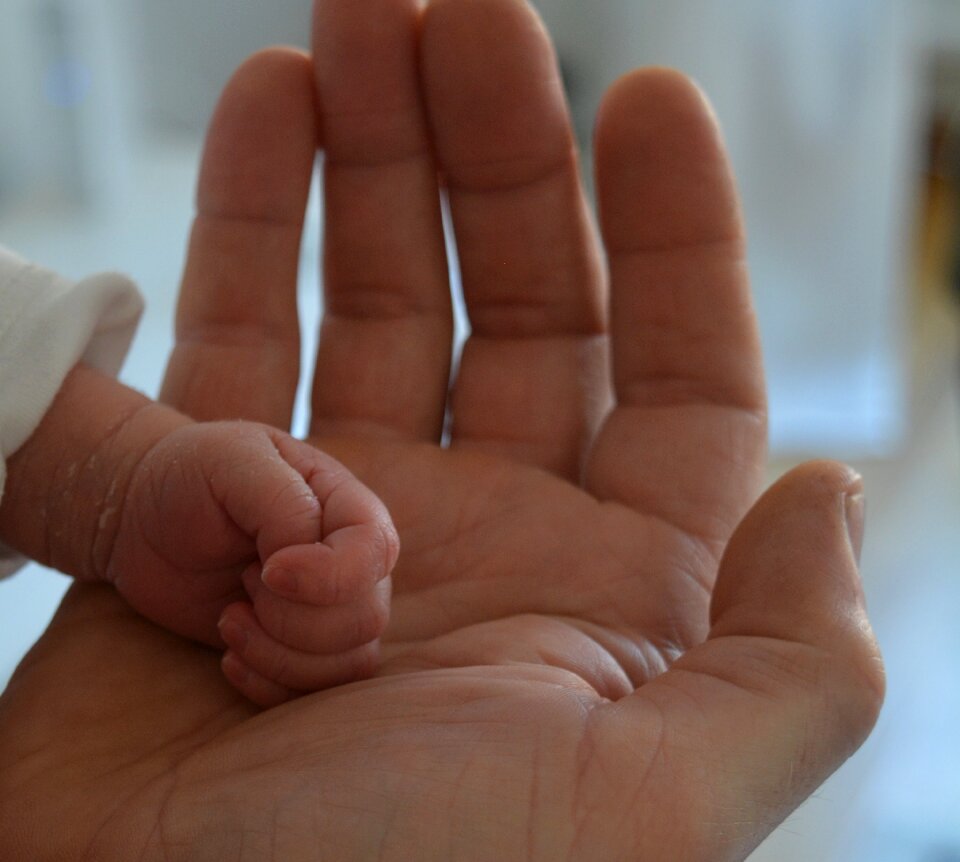 Fingers children hands