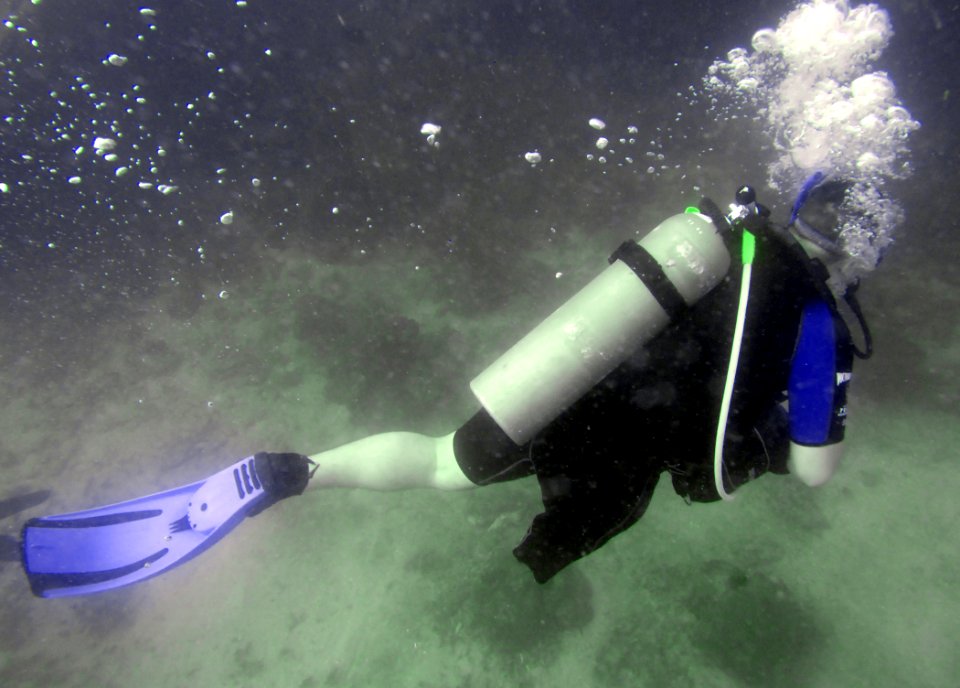 Wounded Warriors - Soldiers Undertaking Disabled Scuba DVIDS137066