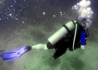 Wounded Warriors - Soldiers Undertaking Disabled Scuba DVIDS137066