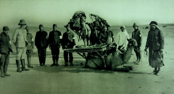 Wounded German soldier on “Chiloufs” stretcher mounted on camel (22040282298) photo