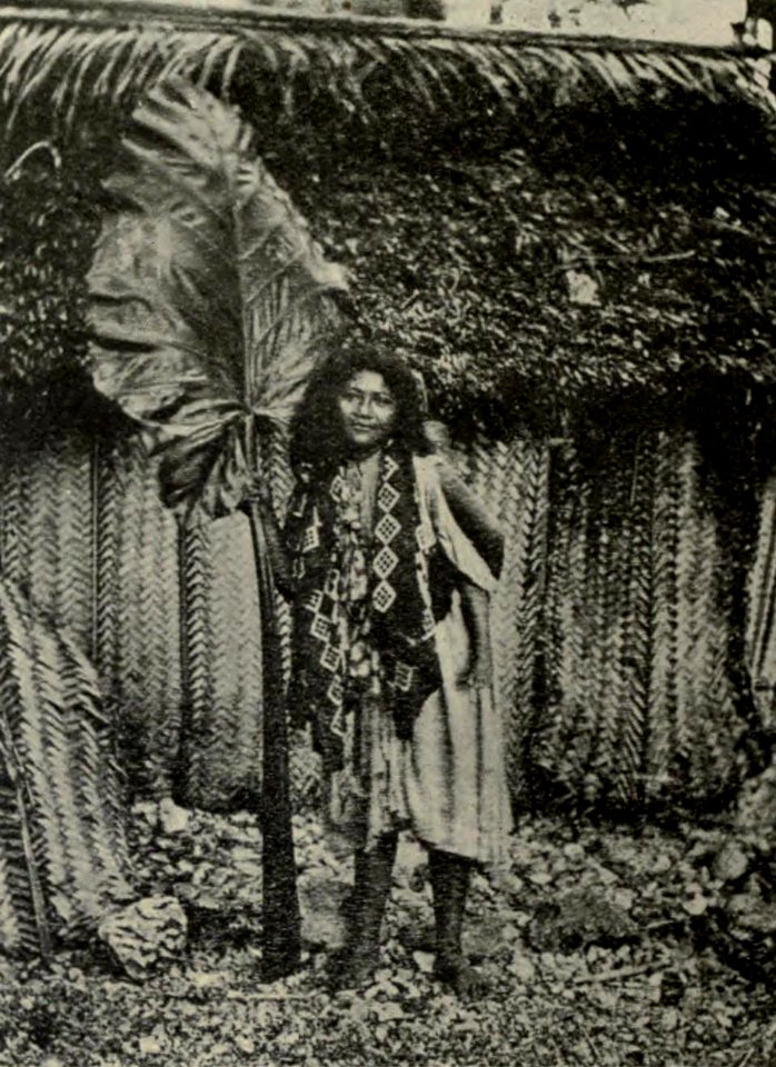 Woven Walls of Niue House, Memoirs Bishop Museum, Vol. II, Fig. 43