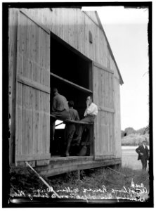 WRIGHT FLIGHTS, FORT MYER, VA, JULY 1909. FIRST ARMY FLIGHTS; HANGAR, WILBUR WRIGHT, RIGHT, SHOWING HIS OBJECTION TO BEING PHOTOGRAPHED LCCN2016863804