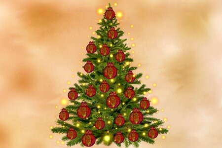 Decoration christmas time fir tree photo